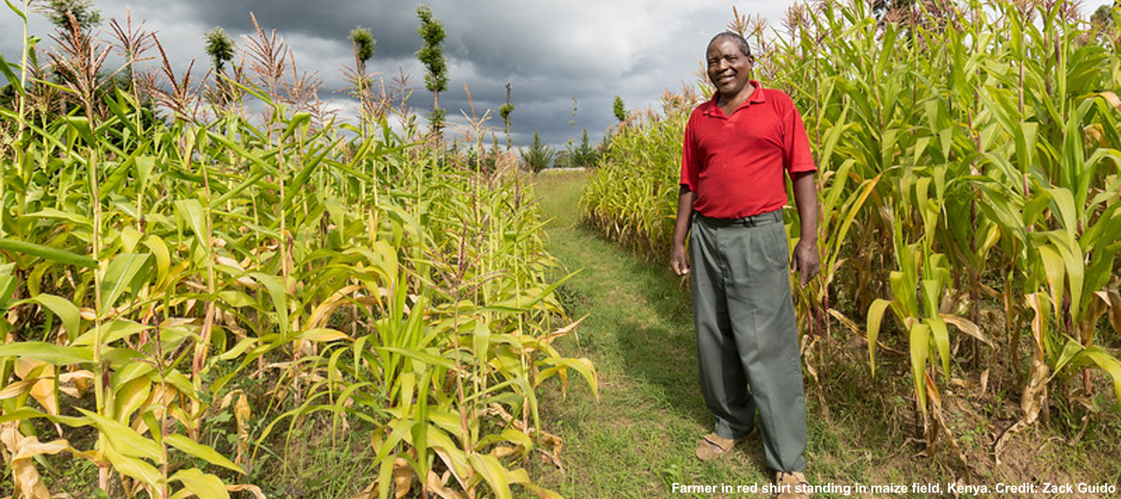 climate-adaptation-research-program-carp-humanitarian-assistance